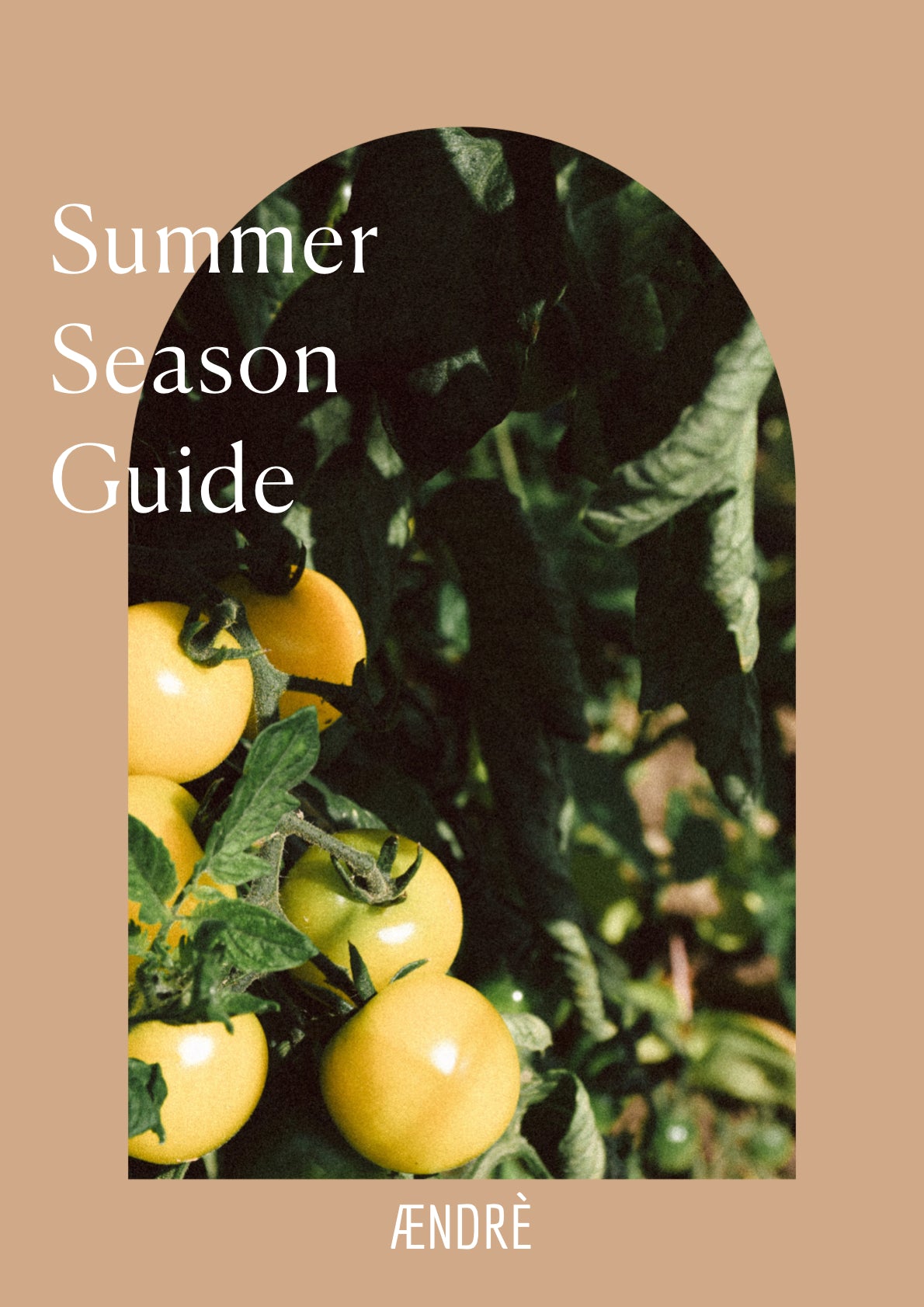 Booklet 2: Sommer Saison Guide (eBook)