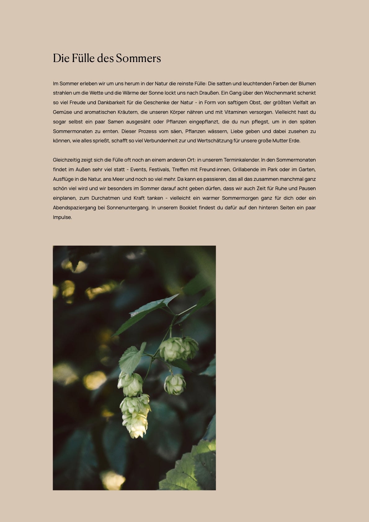 Booklet 2: Sommer Saison Guide (eBook)