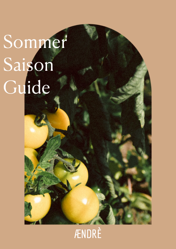 Booklet 2: Sommer Saison Guide